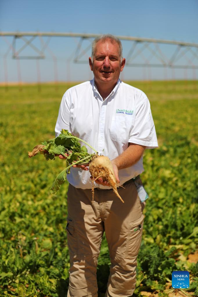 Aaron Baldwin, agriculture general manager of Canal Sugar, a 1-billion-U.S.-dollar joint venture between Egypt and the United Arab Emirates (UAE), poses for a photo with a beet at a beet plantation in a desert of Minya Province, Egypt on July 11, 2022. (Xinhua/Sui Xiankai)