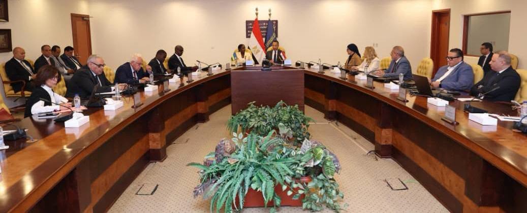Egypt, Rwanda discuss strengthening cooperation on digital transformation