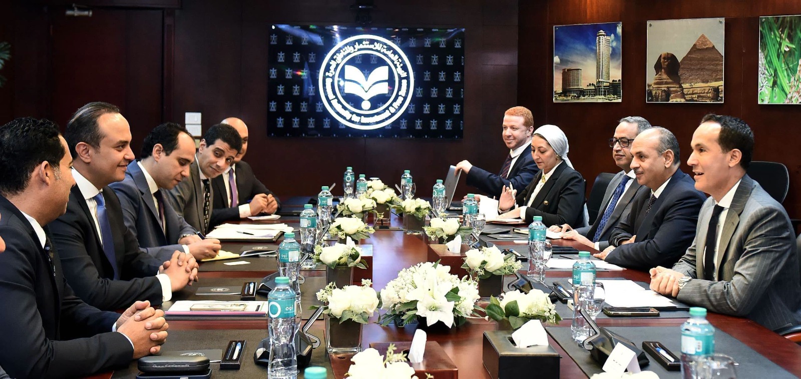 Strong domestic, international demand fuels investment in Egypt’s healthcare: GAFI